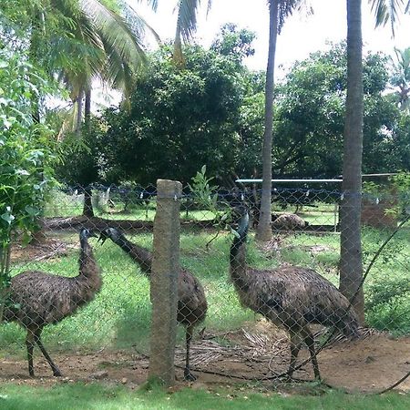 Mango Village Farm House Nelliyampathy Exterior photo
